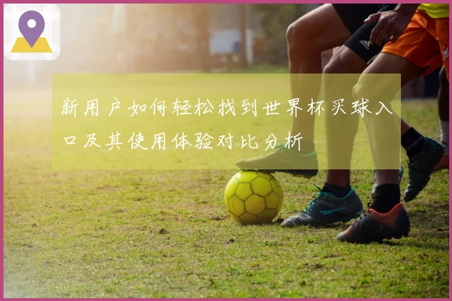 新用户如何轻松找到世界杯买球入口及其使用体验对比分析