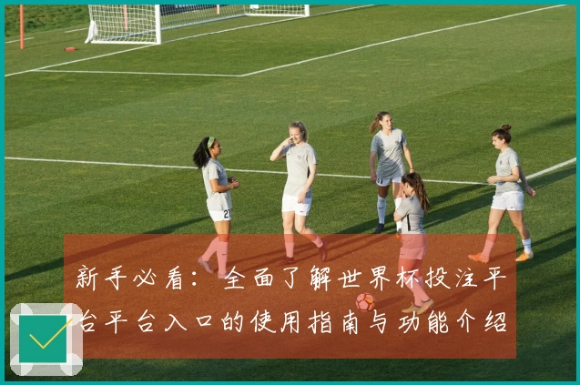 新手必看：全面了解世界杯投注平台平台入口的使用指南与功能介绍