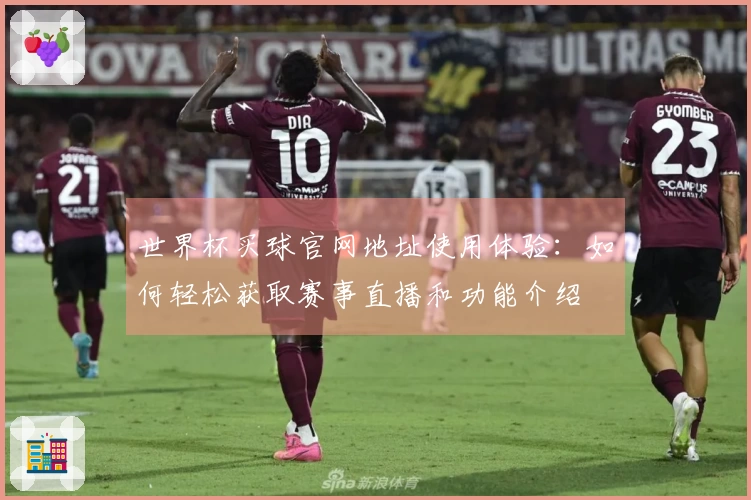 世界杯买球官网地址使用体验：如何轻松获取赛事直播和功能介绍