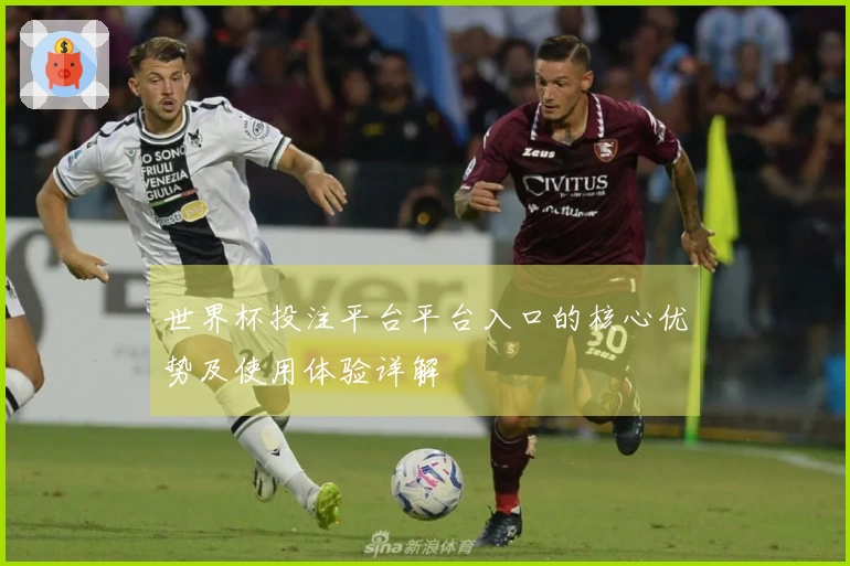 世界杯投注平台平台入口的核心优势及使用体验详解