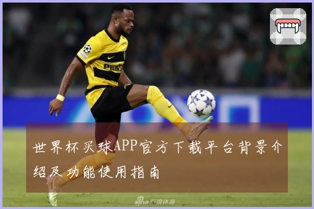 世界杯买球APP官方下载平台背景介绍及功能使用指南