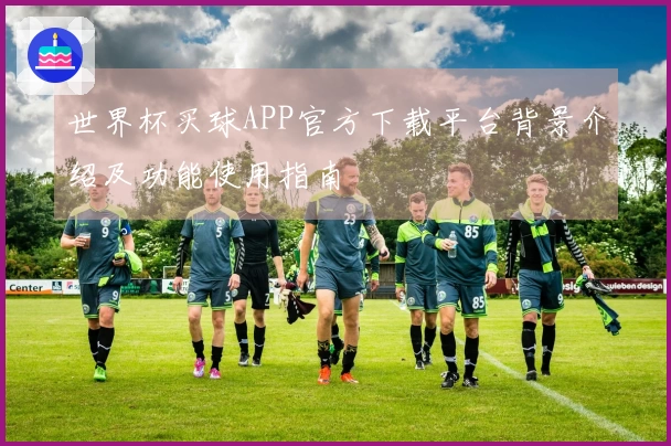 世界杯买球APP官方下载平台背景介绍及功能使用指南