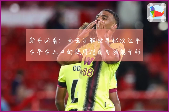 新手必看：全面了解世界杯投注平台平台入口的使用指南与功能介绍