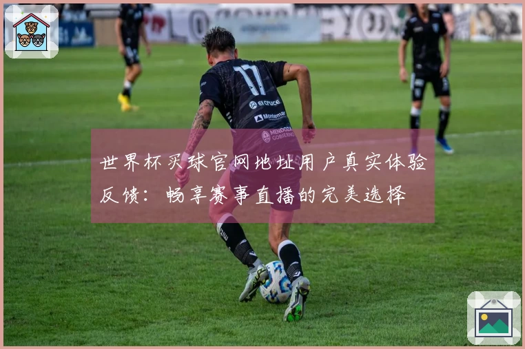 世界杯买球官网地址用户真实体验反馈：畅享赛事直播的完美选择