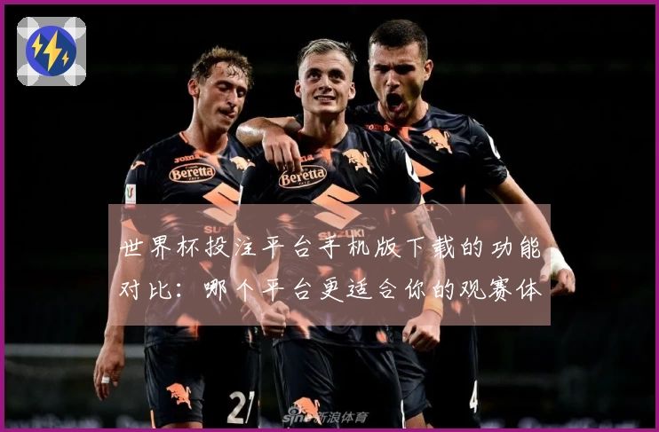 世界杯投注平台手机版下载的功能对比：哪个平台更适合你的观赛体验？